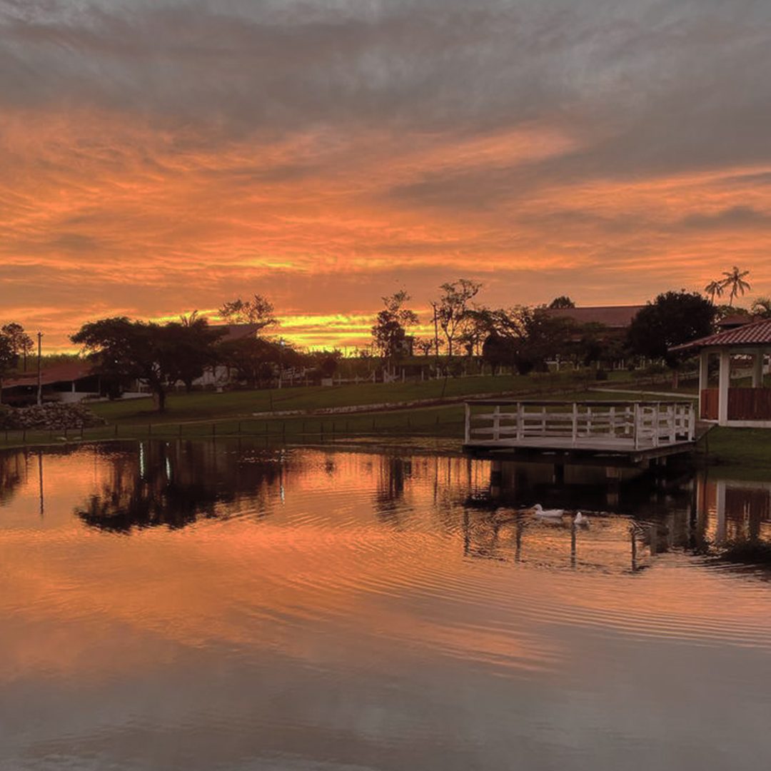 Deck branco no lago sob céu alaranjado com patos na água